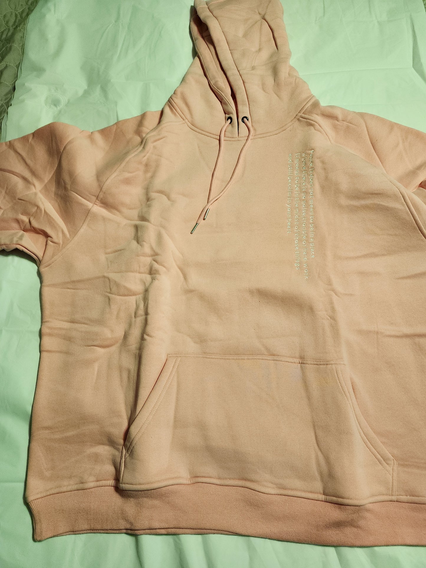 Pink (pale) Hooded Sweatshirt